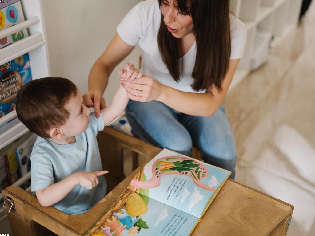 ច្បាប់នៃការលេង: មូលដ្ឋានសម្រាប់ការលេងយ៉ាងមានប្រសិទ្ធភាព